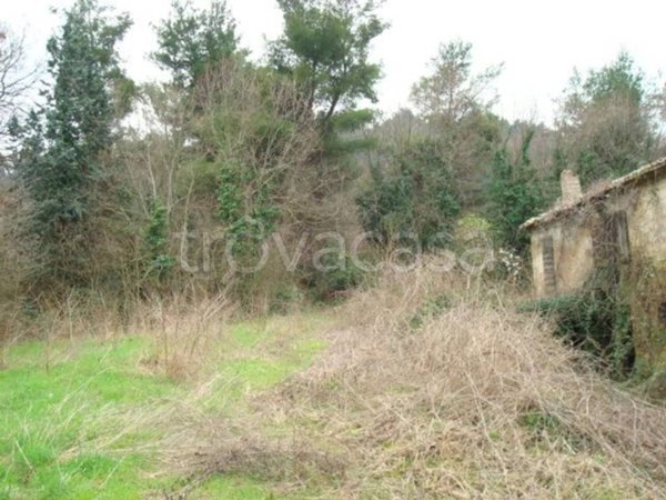 casa indipendente in vendita a Pesaro in zona Novilara