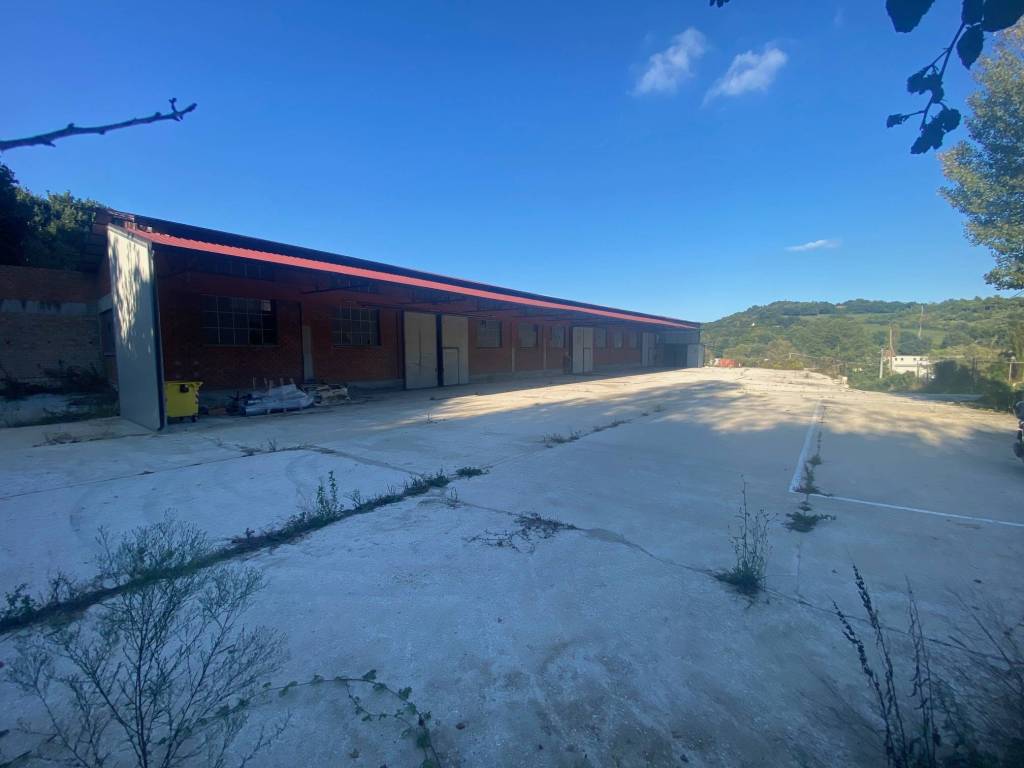 locale commerciale in vendita a Pesaro in zona Cattabrighe