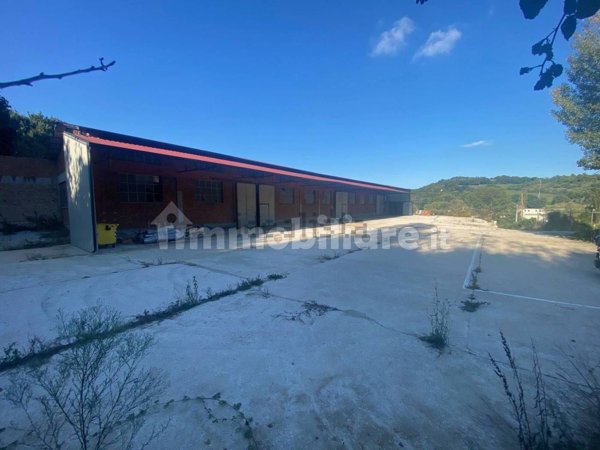 capannone in vendita a Pesaro in zona Cattabrighe