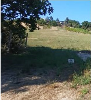 terreno agricolo in vendita a Pesaro in zona Arzilla di Novilara