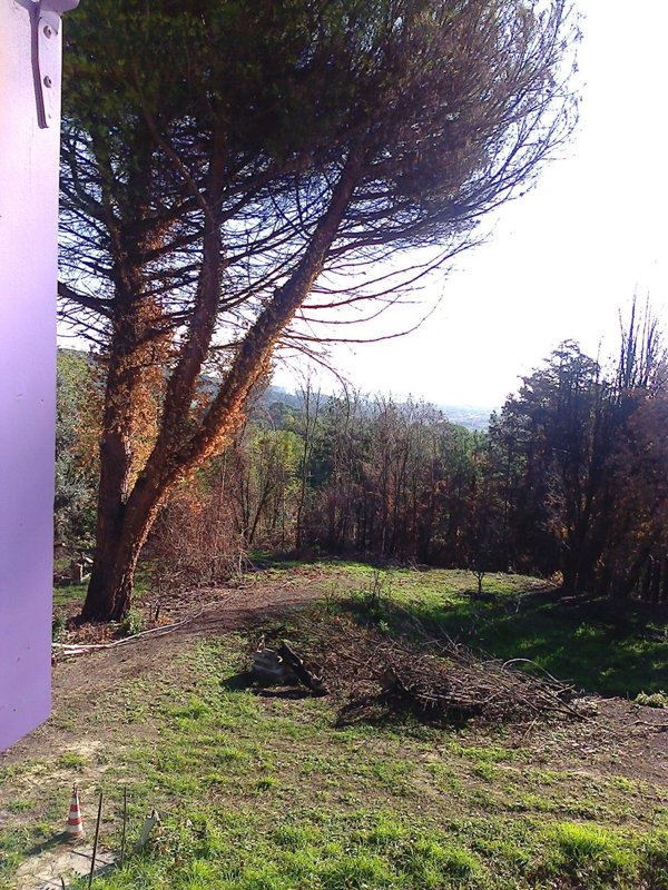 casa indipendente in vendita a Pesaro in zona San Bartolo