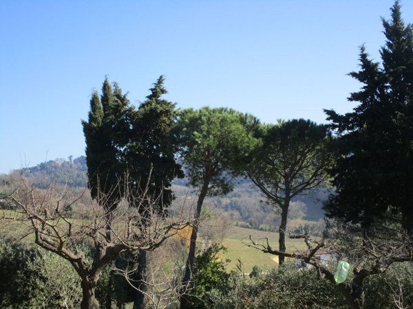 casa indipendente in vendita a Pesaro in zona San Bartolo