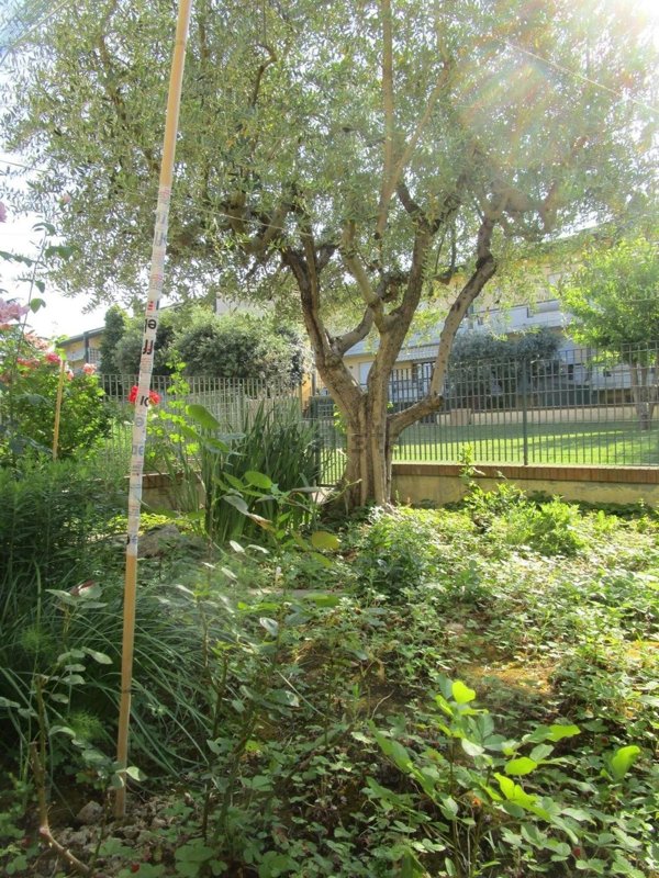 casa indipendente in vendita a Pesaro in zona Santa Maria dell'Arzilla