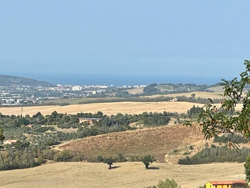 terreno agricolo in vendita a Pesaro in zona Villa Ceccolini