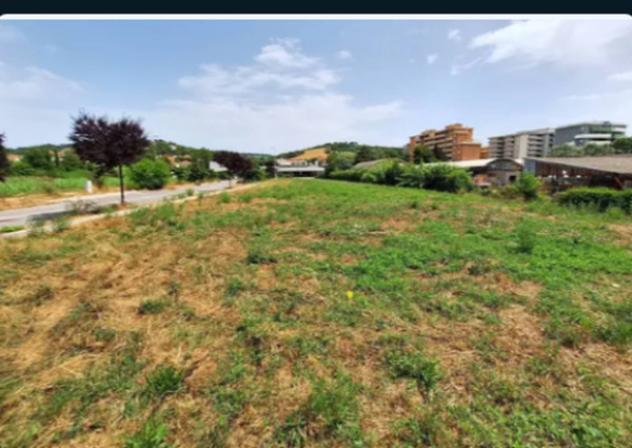 terreno agricolo in vendita a Pesaro in zona Cattabrighe