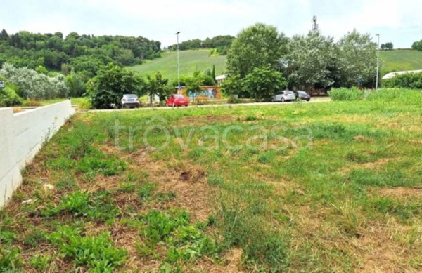 terreno agricolo in vendita a Pesaro in zona Vismara