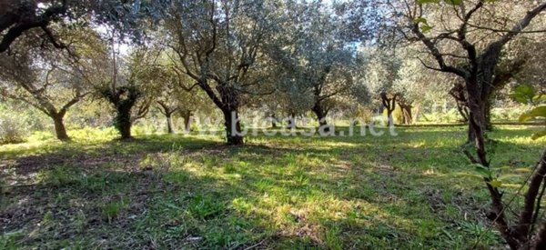 terreno agricolo in vendita a Pesaro in zona Trebbiantico