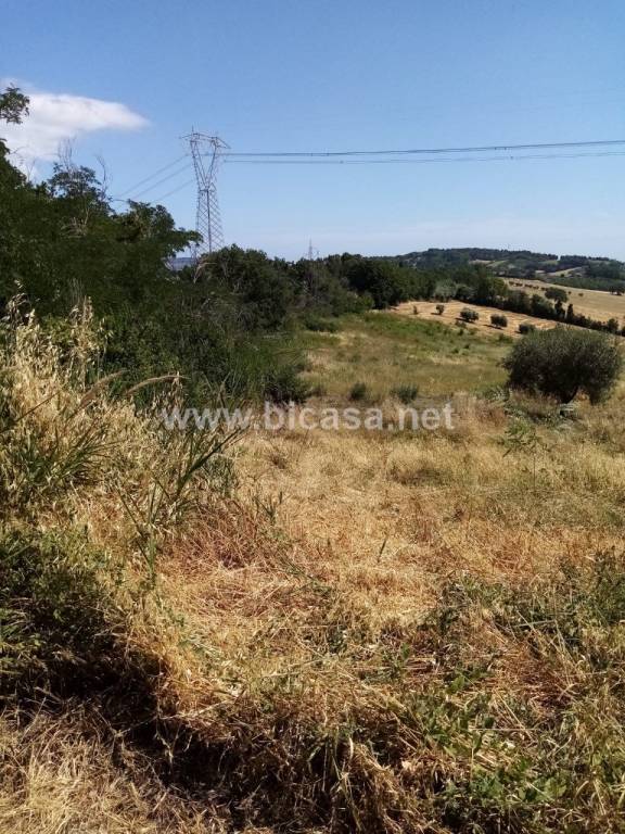 casa indipendente in vendita a Pesaro in zona Villa Ceccolini
