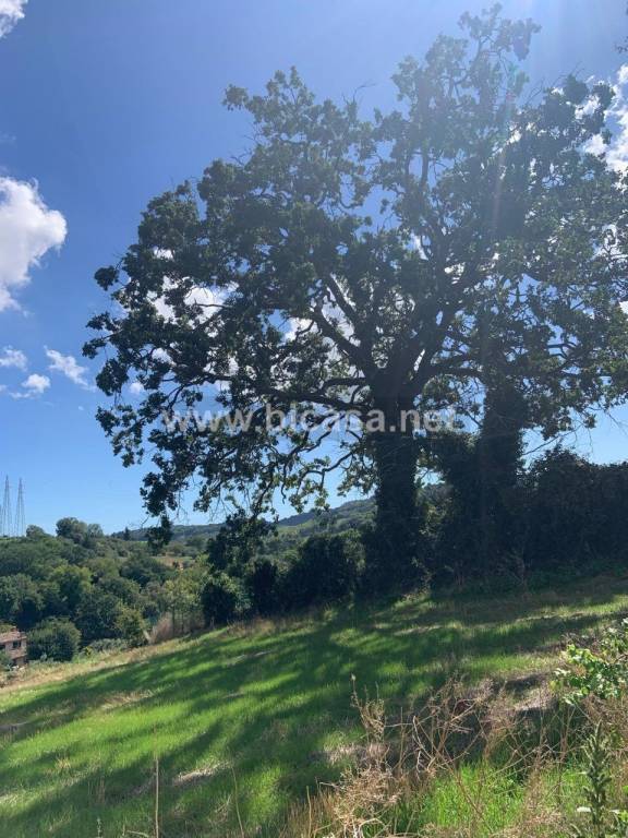 terreno agricolo in vendita a Pesaro in zona Santa Veneranda