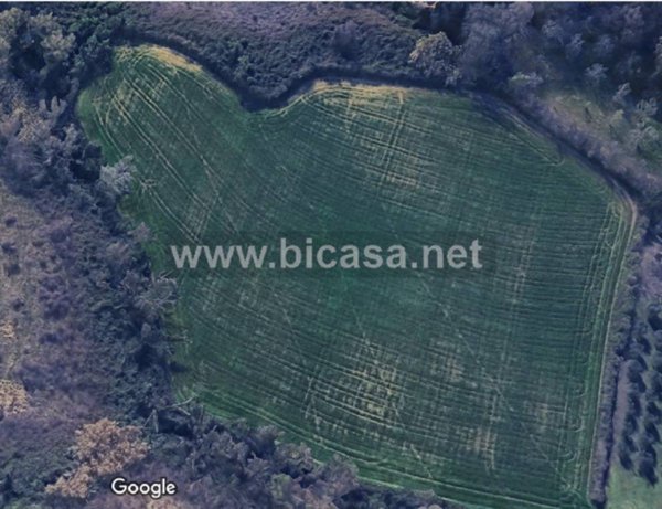 terreno agricolo in vendita a Pesaro in zona Candelara