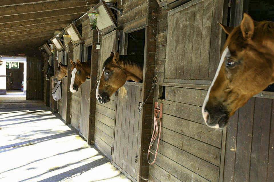 negozio in vendita a Pesaro