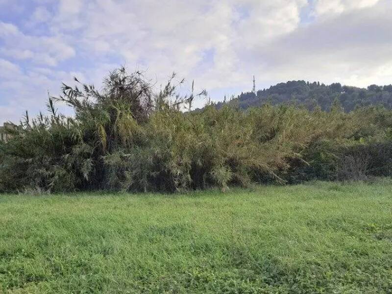 terreno agricolo in vendita a Pesaro