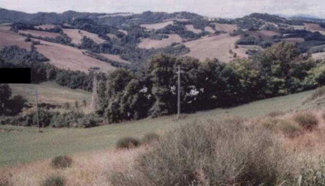 terreno agricolo in vendita a Pesaro in zona Monteciccardo
