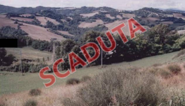 terreno agricolo in vendita a Pesaro in zona Monteciccardo