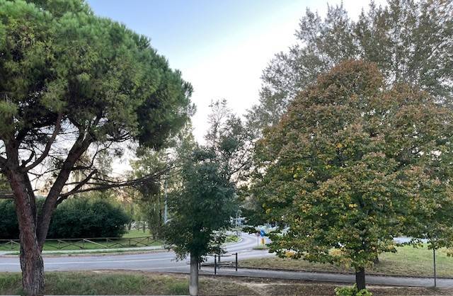 appartamento in vendita a Pesaro in zona Santa Veneranda