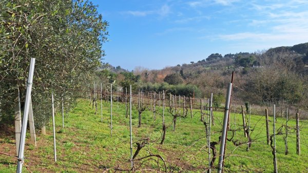 casa indipendente in vendita a Pesaro in zona Trebbiantico