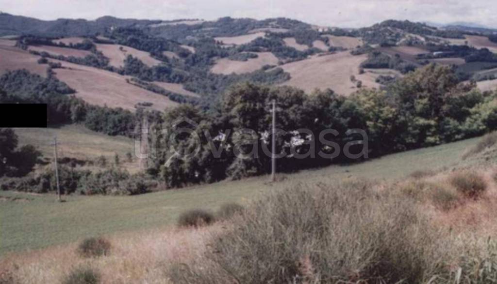 terreno agricolo in vendita a Pesaro in zona Monteciccardo