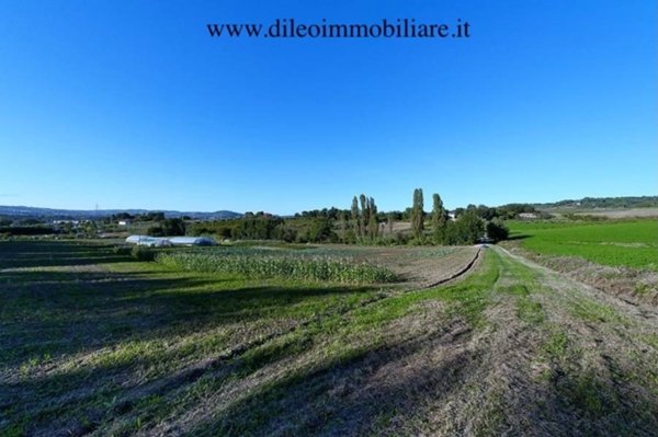 azienda agricola in vendita a Pesaro