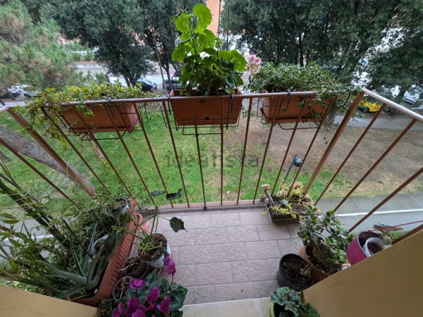 appartamento in vendita a Pesaro