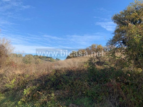 terreno agricolo in vendita a Pesaro in zona Santa Maria dell'Arzilla