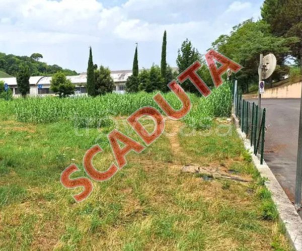 terreno agricolo in vendita a Pesaro in zona Vismara