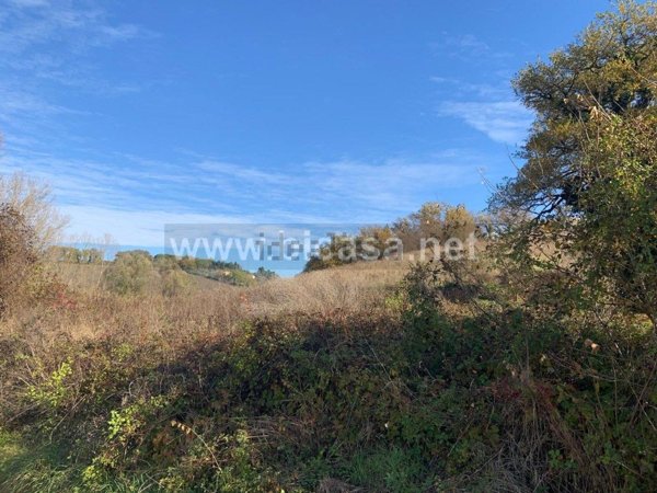terreno agricolo in vendita a Pesaro in zona Santa Maria dell'Arzilla