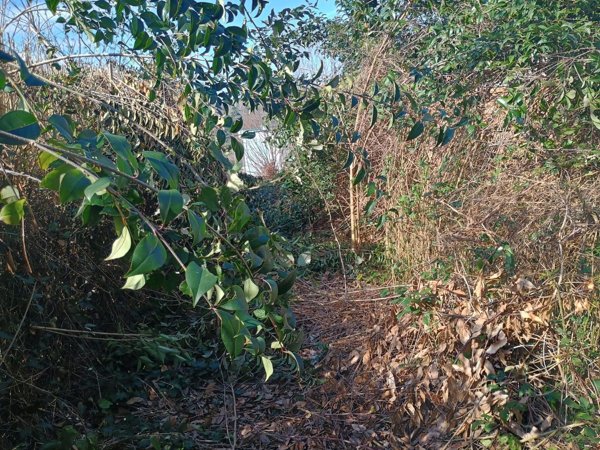 casa indipendente in vendita a Pesaro