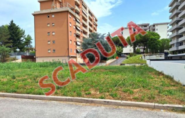 terreno agricolo in vendita a Pesaro in zona Cattabrighe