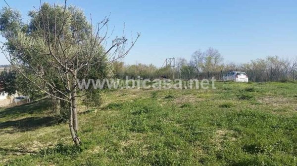 terreno agricolo in vendita a Pesaro in zona Santa Maria dell'Arzilla