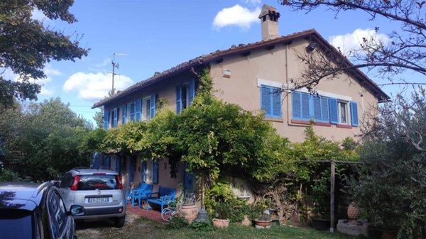 esavano in vendita a Pesaro