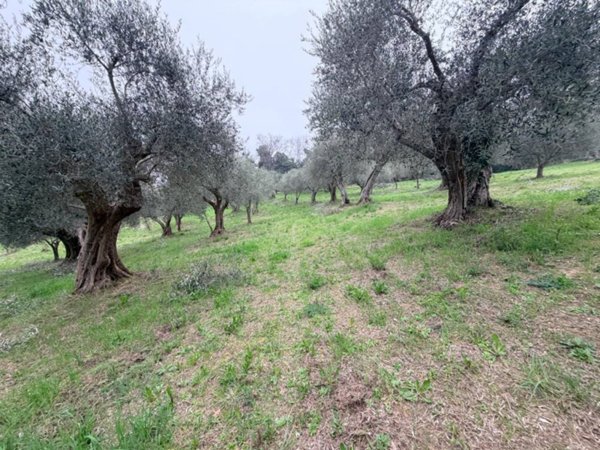 casa indipendente in vendita a Pesaro in zona Villa Fastiggi