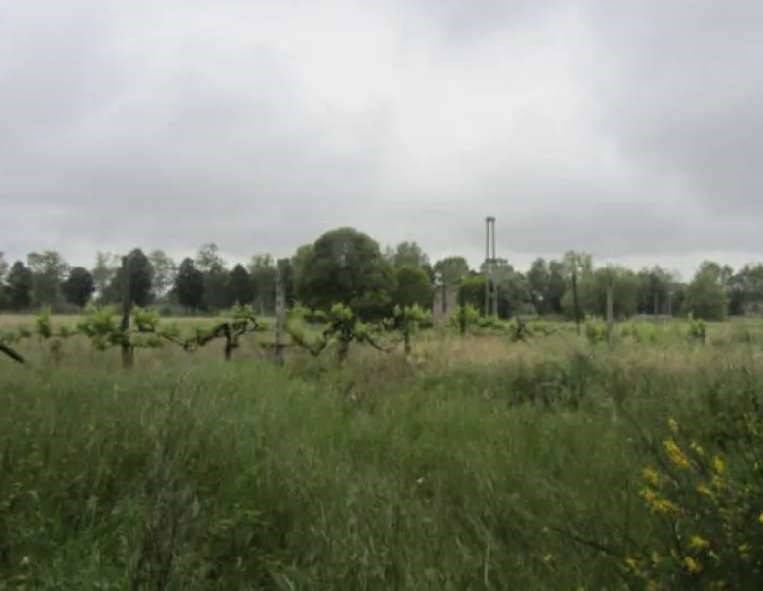 appartamento in vendita a Pesaro in zona Tre Ponti