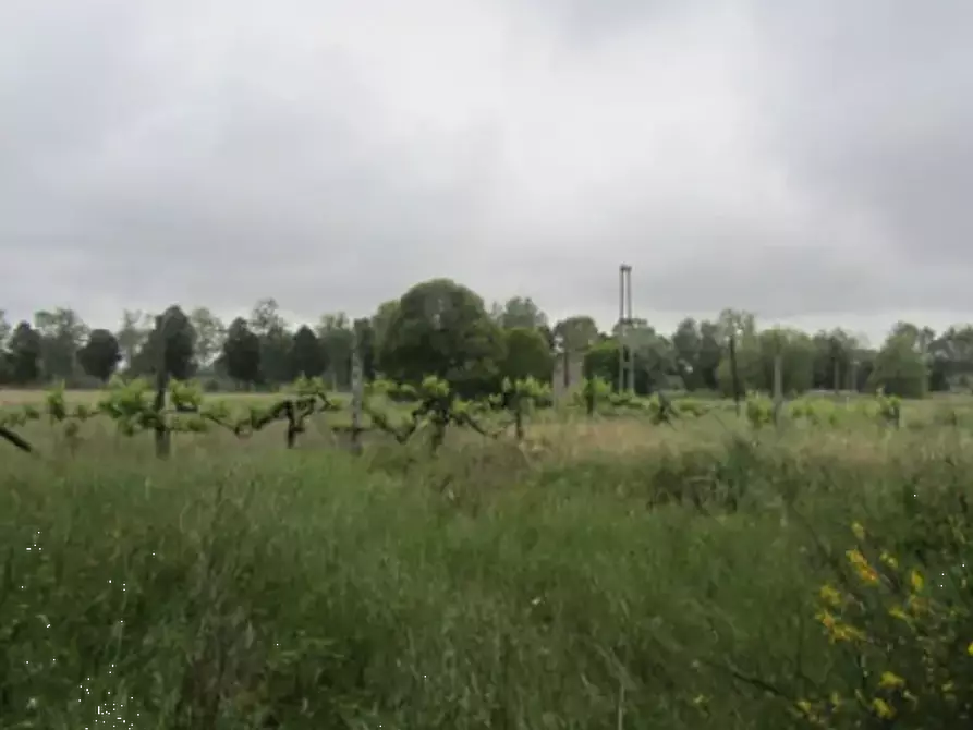 terreno edificabile in vendita a Pesaro