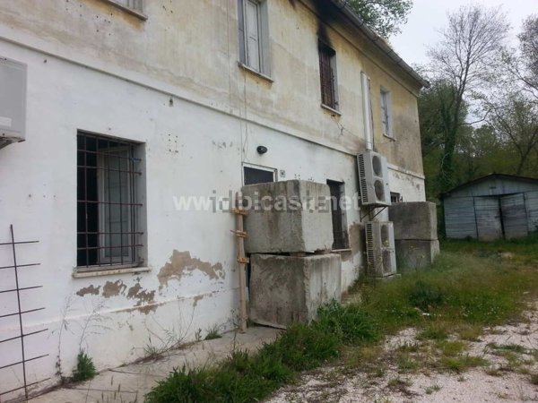 esavano in vendita a Pesaro in zona Trebbiantico