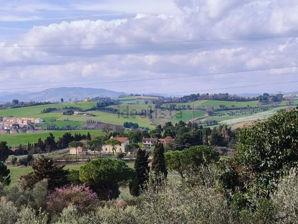 terreno agricolo in vendita a Pesaro