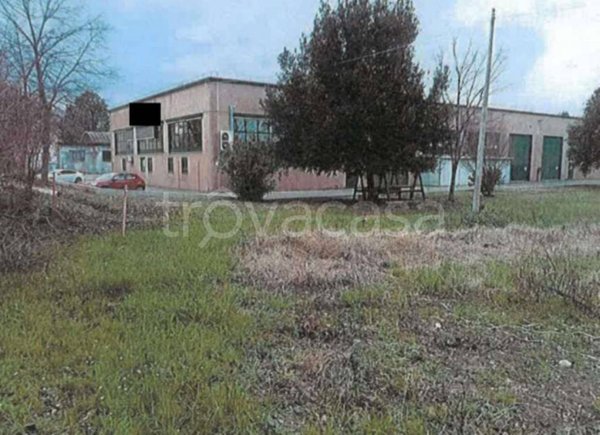 terreno agricolo in vendita a Pesaro in zona Candelara