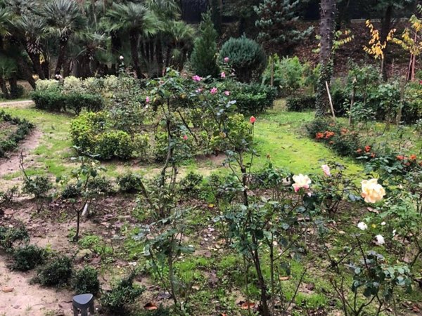 appartamento in vendita a Pesaro in zona Mare