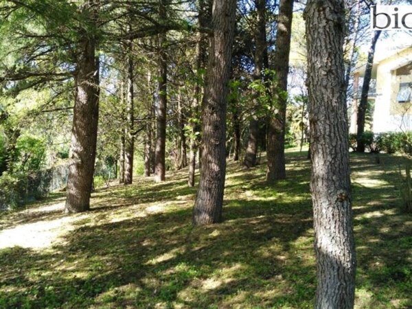 casa indipendente in vendita a Pesaro in zona Santa Veneranda