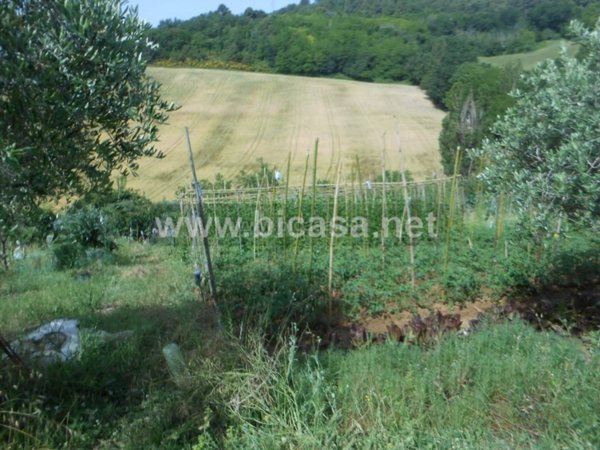 terreno agricolo in vendita a Pesaro in zona Villa Ceccolini