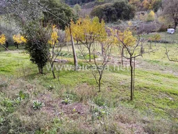 terreno agricolo in vendita a Pesaro in zona Trebbiantico