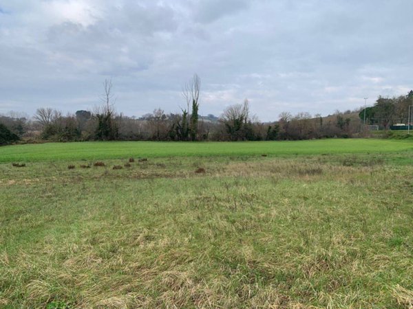 terreno agricolo in vendita a Pesaro in zona Santa Maria dell'Arzilla