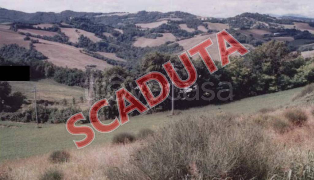 terreno agricolo in vendita a Pesaro in zona Monteciccardo