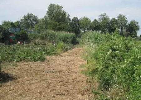 terreno edificabile in vendita a Pesaro