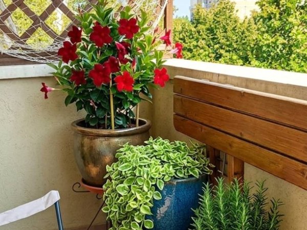 appartamento in vendita a Pesaro in zona Mare