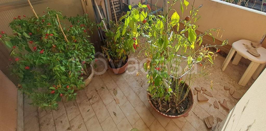 casa indipendente in vendita a Pesaro in zona Novilara