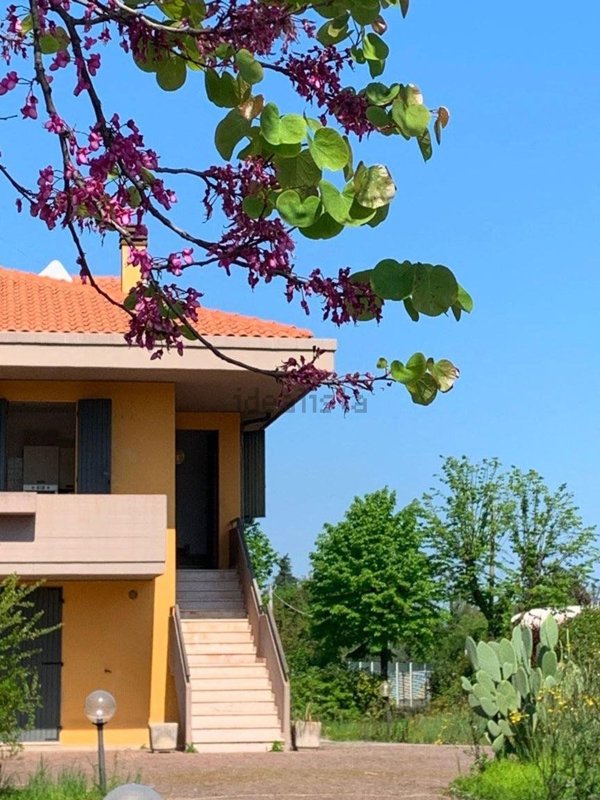 appartamento in vendita a Pesaro