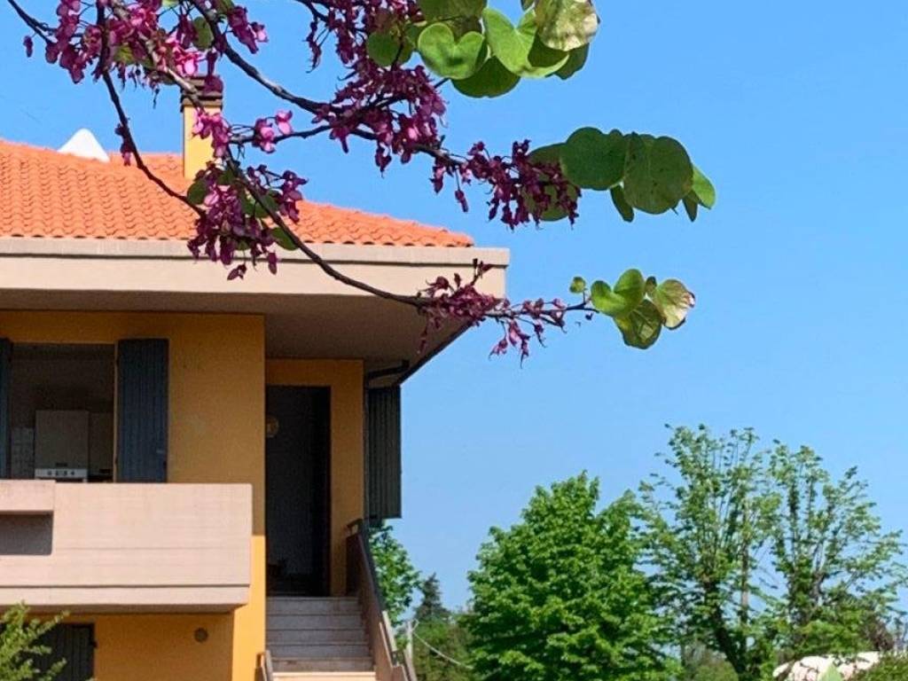 appartamento in vendita a Pesaro in zona Villa Ceccolini