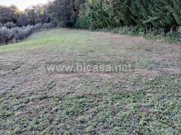 casa indipendente in vendita a Pesaro in zona Villa Fastiggi