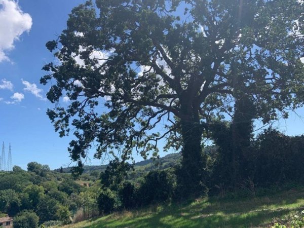 terreno agricolo in vendita a Pesaro in zona Santa Veneranda