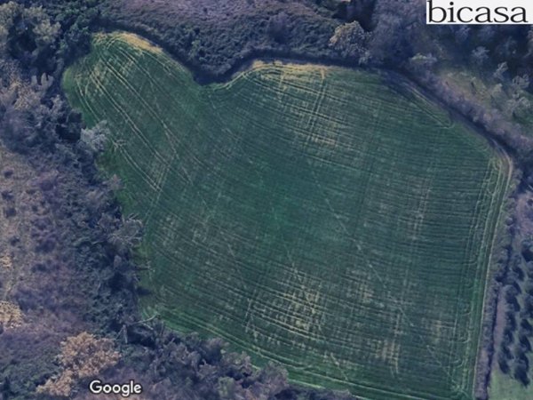terreno agricolo in vendita a Pesaro in zona Novilara
